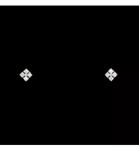 Orecchini in oro bianco 0,32 carati