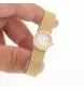 Audemars Piguet Gelbgold Lady Diamanten