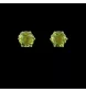 Peridot yellow gold stud earrings.