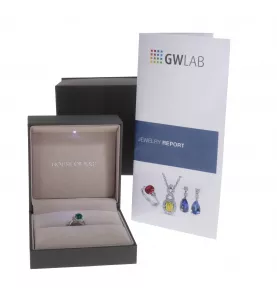 RING AUS PLATIN UND SMARAGD 22,86 KARAT