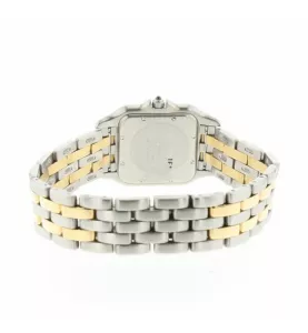 Pantera d'oro/acciaio GM