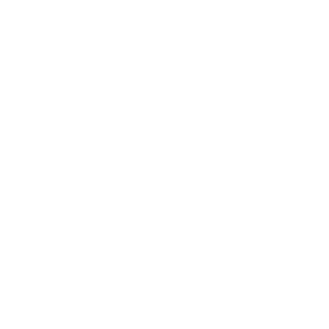 ZENITH